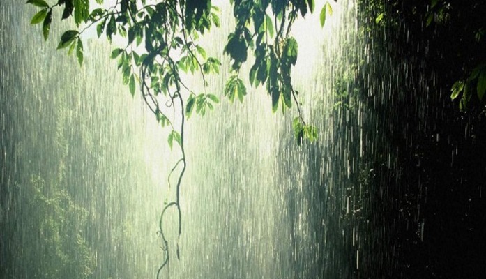 El olor de la lluvia