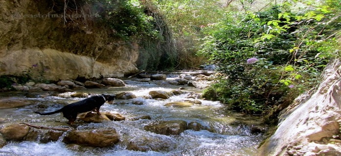 Parque Natural de las sierras de Tejeda, Almijara y Alhama